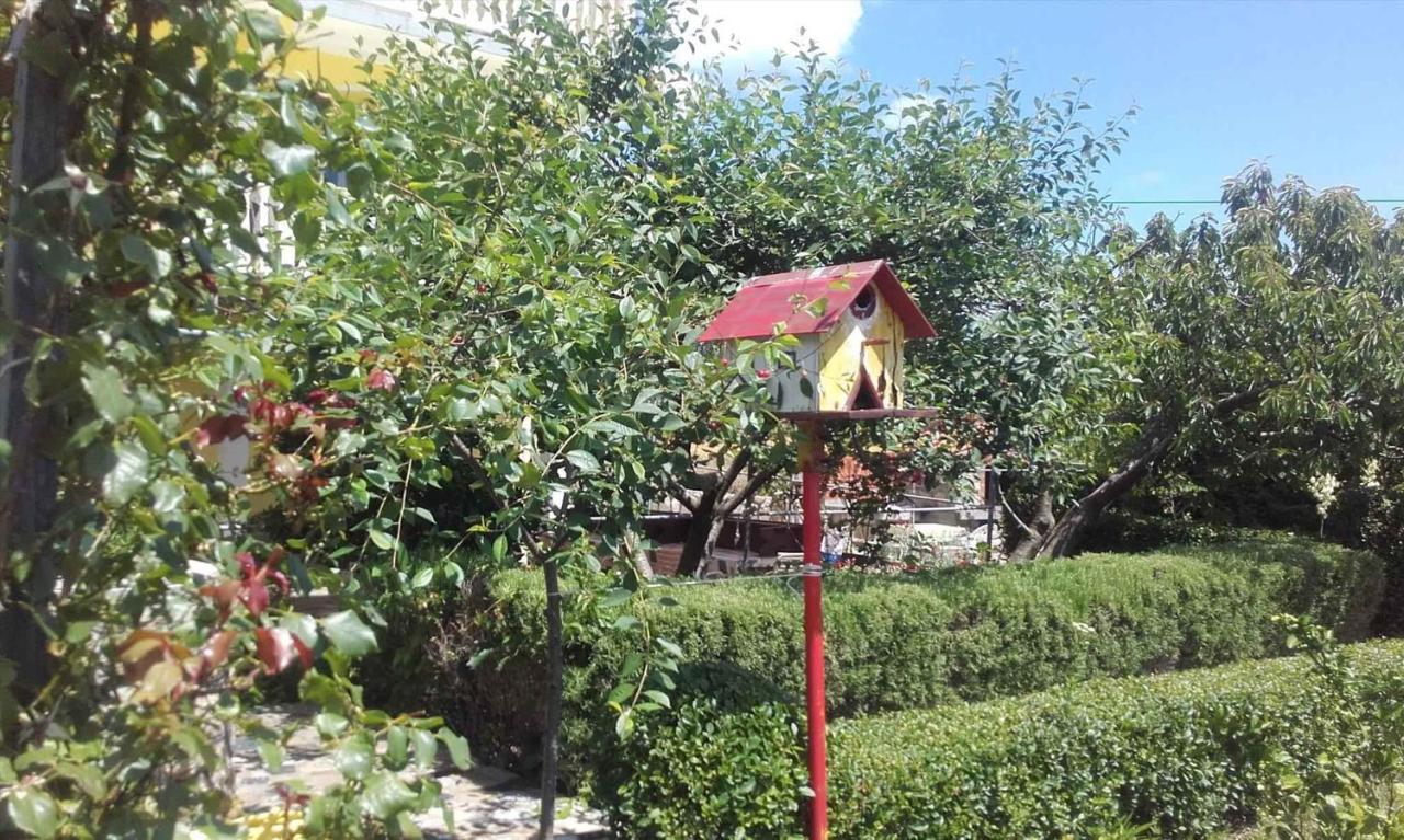 Apartment in Lopar/Insel Rab 17739 Buitenkant foto